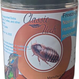 2oz Freeze-Dried Dubia - High Protein Reptile & Amphibian Food